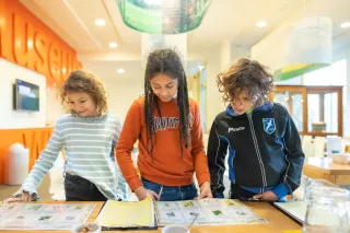 Culturele mobiliteit - Museum Wierdenland